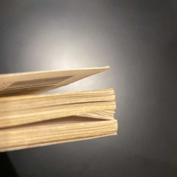 Baby-Sitters Little Sister #28: Karen’s Tea Party by Ann M. Martin - Novel - Picture 8 of 10